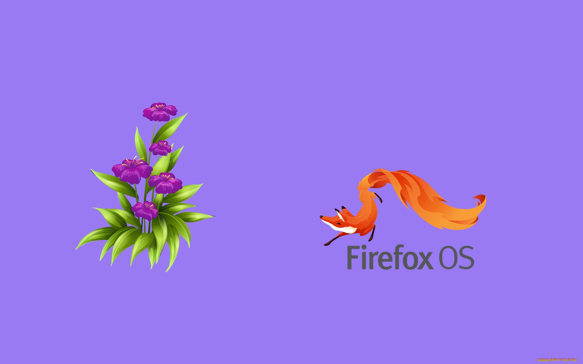 , mozilla firefox, , 